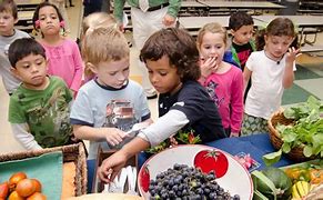 How Culinary Schools are Shaping the Future of the Food Industry
