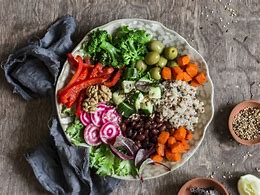 The Rise of Plant-Based Foods: How Education Is Driving the Vegan and Vegetarian Business Boom